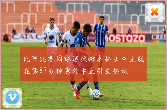 比甲比赛因球迷投掷水杯击中主裁在第87分钟意外中止引发热议