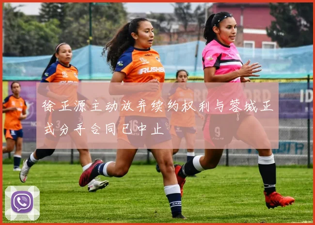 徐正源主动放弃续约权利与蓉城正式分手合同已中止