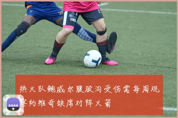 热火队鲍威尔腹股沟受伤需每周观察约维奇缺席对阵火箭