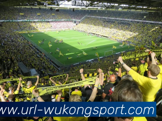 悟空体育平台生态图