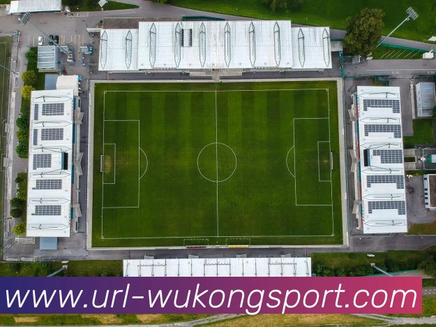 悟空体育APP 封面图