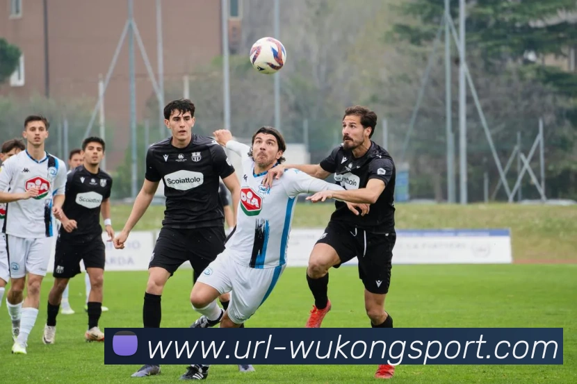 数据防护可视化